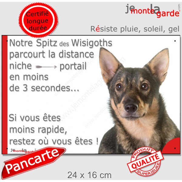 Spitz des Wisigoths, plaque extérieure humour "parcourt distance Niche-Portail moins 3 secondes, rapide" photo Vallhund Suédois
