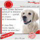 Golden Retriever sable clair, Plaque Humour "parcourt distance niche-portail 3 secondes" pancarte, affiche panneau photo blanc