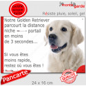 Golden Retriever, plaque humour "distance Niche - Portail 3 Secondes" 24 cm 3SEC