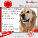 Golden Retriever, plaque humour "distance Niche - Portail 3 Secondes" 24 cm 3SEC