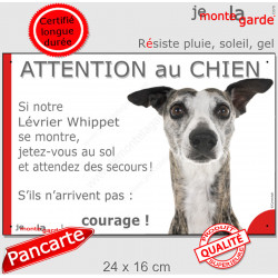 Lévrier Whippet bringé, plaque extérieure humour "Attention au Chien, Jetez Vous au Sol, attendez secours courage" photo portail