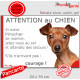 Pinscher fauve, plaque extérieure humour "Attention au Chien, Jetez Vous au Sol, attendez secours, courage" photo pancarte nain