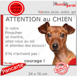 Pinscher fauve, plaque extérieure humour "Attention au Chien, Jetez Vous au Sol, attendez secours, courage" photo pancarte nain