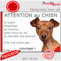 Pinscher fauve, plaque humour extérieur "Attention au Chien, Jetez Vous au Sol" 24 cm JET
