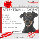 Pinscher noir et feu, plaque humour extérieur "Attention au Chien, Jetez Vous au Sol" 24 cm JET