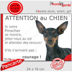 Pinscher noir et feu, plaque extérieure humour "Attention au Chien, Jetez Vous au Sol, attendez secours, courage" photo pancarte