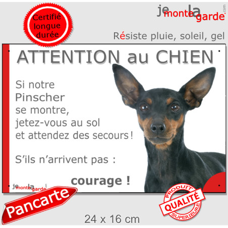 Pinscher noir et feu, plaque extérieure humour "Attention au Chien, Jetez Vous au Sol, attendez secours, courage" photo pancarte