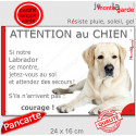 Labrador sable, plaque humour "Attention au Chien, Jetez Vous au Sol, courage" 24 cm JET