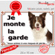 Border Collie chocolat marron brun et blanc, plaque portail "Je Monte la Garde, risques périls" pancarte panneau photo