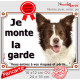 Border Collie chocolat marron brun et blanc, plaque portail "Je Monte la Garde, risques périls" pancarte panneau photo