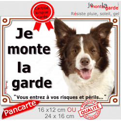 Border Collie chocolat, plaque extérieur "Je Monte la Garde, risques périls" 2 tailles LUX D
