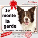 Border Collie chocolat, plaque extérieur "Je Monte la Garde, risques périls" 2 tailles LUX D