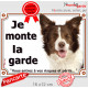 Border Collie chocolat marron brun et blanc, plaque portail "Je Monte la Garde, risques périls" pancarte panneau photo