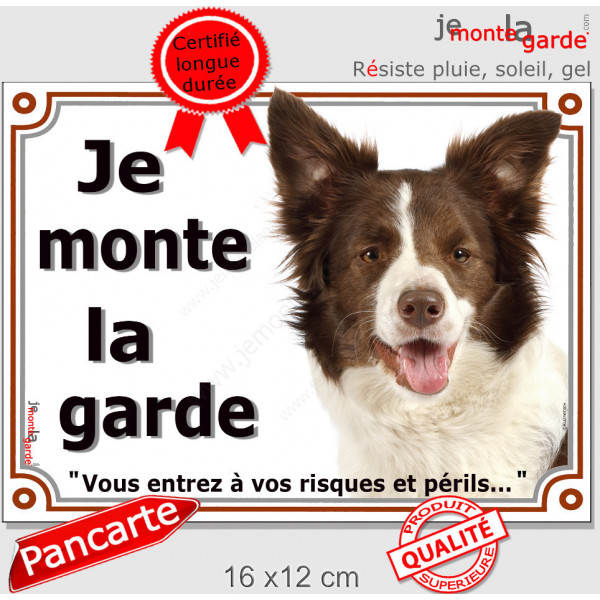 Border Collie chocolat marron brun et blanc, plaque portail "Je Monte la Garde, risques périls" pancarte panneau photo