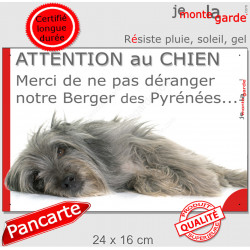Plaque portail humour "Attention au Chien, Merci de ne pas déranger notre Berger des Pyrénées gris" Labrit arlequin bleu photo