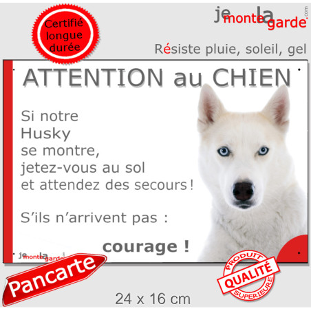 Husky Sibérien tout blanc aux yeux bleus, plaque humour "Attention au Chien, montre, Jetez Vous au Sol, courage" photo, résiste