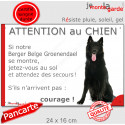 Groenendael, plaque extérieure humour "Attention au Chien, Jetez Vous au Sol" 24 cm JET