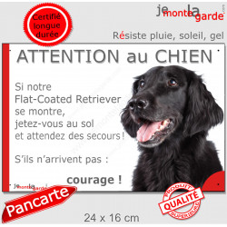 Flat-Coated Retriever, plaque extérieure humour "Attention au Chien, Jetez Vous au Sol, attendez secours, courage" photo portail