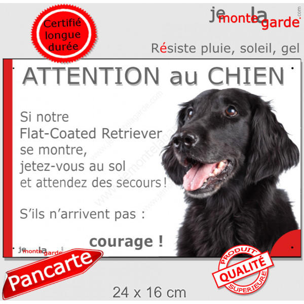 Flat-Coated Retriever, plaque extérieure humour "Attention au Chien, Jetez Vous au Sol, attendez secours, courage" photo portail
