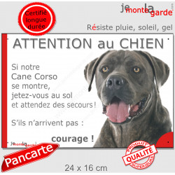 Cane Corso Italiano gris bleu, plaque extérieure humour "Attention au Chien, Jetez Vous au Sol, courage" pancarte portail photo