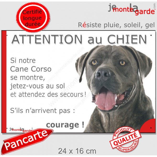 Cane Corso Italiano gris bleu, plaque extérieure humour "Attention au Chien, Jetez Vous au Sol, courage" pancarte portail photo