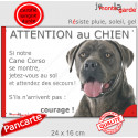 Cane Corso gris, plaque extérieure humour "Attention au Chien, Jetez Vous au Sol" 24 cm JET
