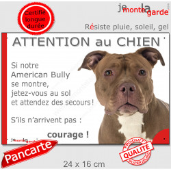 American Bully red Nose, plaque extérieure humour "Attention au Chien, Jetez Vous au Sol, attendez secours" photo portail