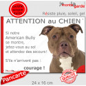 American Bully red nose, plaque humour "Attention au Chien, Jetez Vous au Sol" 24 cm JET