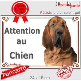 Saint-Hubert plaque portail "Attention au Chien" photo St-Hubert chasse, résiste pluie soleil gel, idée cadeau