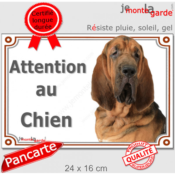 Saint-Hubert plaque extérieure portail "Attention au Chien" pancarte panneau photo St-Hubert chasse