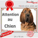 Saint-Hubert, plaque extérieure portail "Attention au Chien" 24 cm LUX