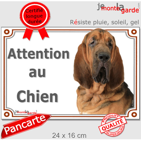 Saint-Hubert plaque portail "Attention au Chien" photo St-Hubert chasse, résiste pluie soleil gel, idée cadeau