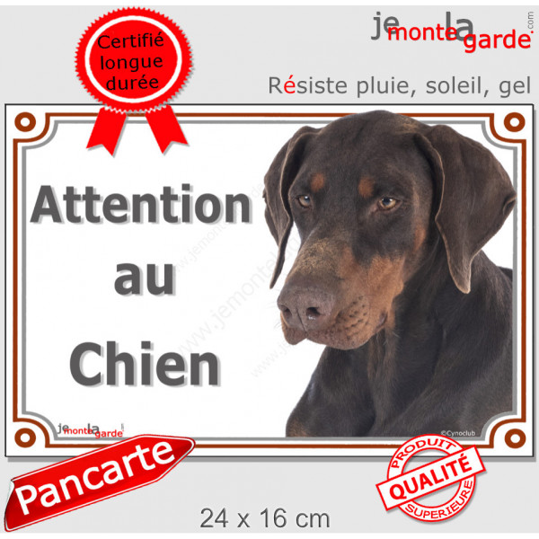 Dobermann marron chocolat et Feu Tête, Plaque portail extérieure "Attention au Chien" panneau affiche pancarte photo