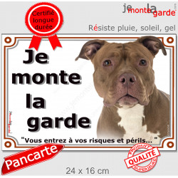 American Bully red nose Tête, plaque portail extérieure "Je Monte la Garde, risques périls" pancarte panneau photo