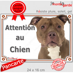 American Bully red nose, plaque extérieure "Attention au Chien" 24 cm LUX