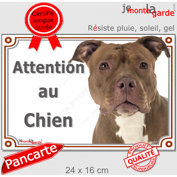 American Bully red nose Tête, plaque portail extérieure "Attention au Chien" pancarte panneau photo