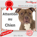 American Bully red nose, plaque extérieure "Attention au Chien" 24 cm LUX