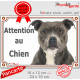 American Staffordshire brun-bleu bringé, plaque portail "Attention au Chien" pancarte panneau photo Amstaff Staff gris