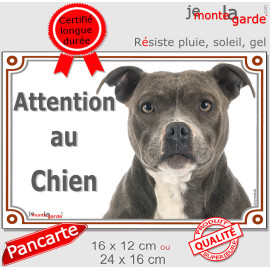 American Staffordshire bleu dilué, plaque portail "Attention au Chien" photo Amstaff gris, résiste pluie soleil gel, idée cadeau
