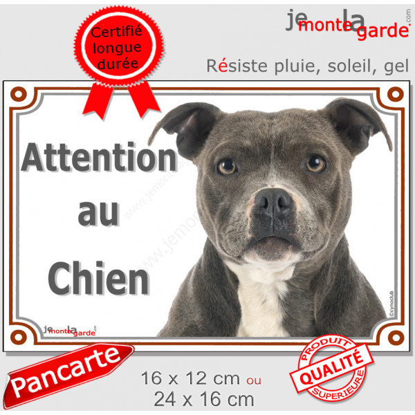 American Staffordshire brun-bleu bringé, plaque portail "Attention au Chien" pancarte panneau photo Amstaff Staff gris