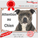 Amstaff gris bleu, plaque portail extérieure "Attention au Chien" 2 tailles LUX D