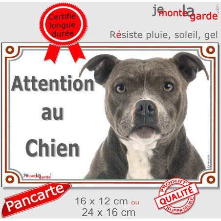 American Staffordshire bleu dilué, plaque portail "Attention au Chien" photo Amstaff gris, résiste pluie soleil gel, idée cadeau