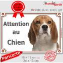 Beagle, plaque portail extérieure "Attention au Chien" 2 tailles LUX
