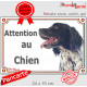 Epagneul Breton noir et blanc Tête, plaque portail "Attention au Chien" pancarte portail photo