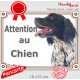 Epagneul Breton noir et blanc Tête, plaque portail "Attention au Chien" pancarte portail photo