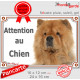 Chow-Chow fauve orange, plaque portail extérieure "Attention au Chien" pancarte panneau photo
