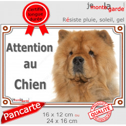 Chow-Chow fauve orange, plaque portail extérieure "Attention au Chien" pancarte panneau photo