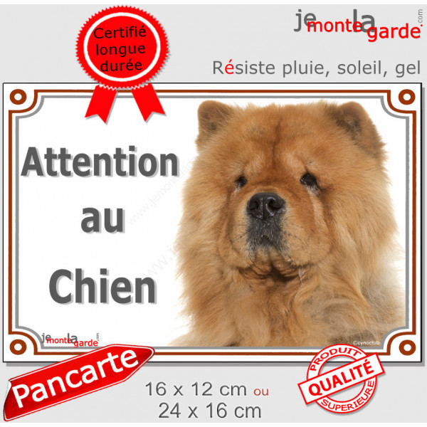 Chow-Chow fauve orange, plaque portail extérieure "Attention au Chien" pancarte panneau photo