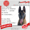 Malinois, plaque humour "parcourt distance Niche-Portail 3 secondes" 24 cm