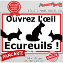 Plaque extérieure Attention "Ouvrez l'oeil, Ecureuils !" 2 tailles D